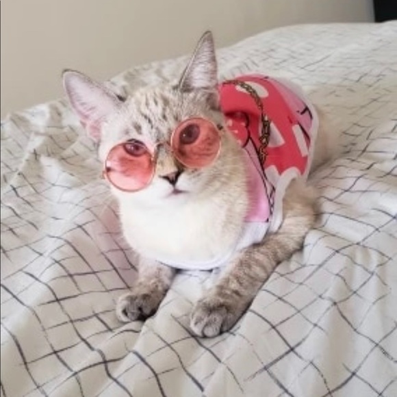 2 pair for $15 Kitty sunglasses - Picture 2 of 16